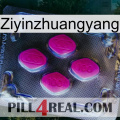 Ziyinzhuangyang 02